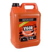 Détergent Industriel Vigor Ammoniaqué 5 Litres